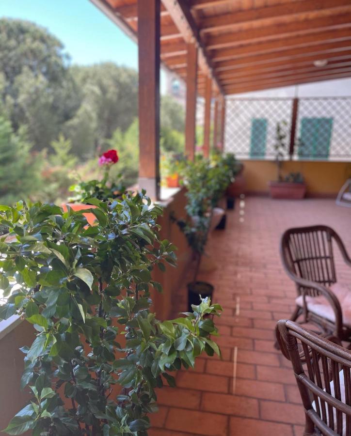 Hôtel La Terrazza Dei Ciliegi à Santa Maria Degli Angeli  Extérieur photo