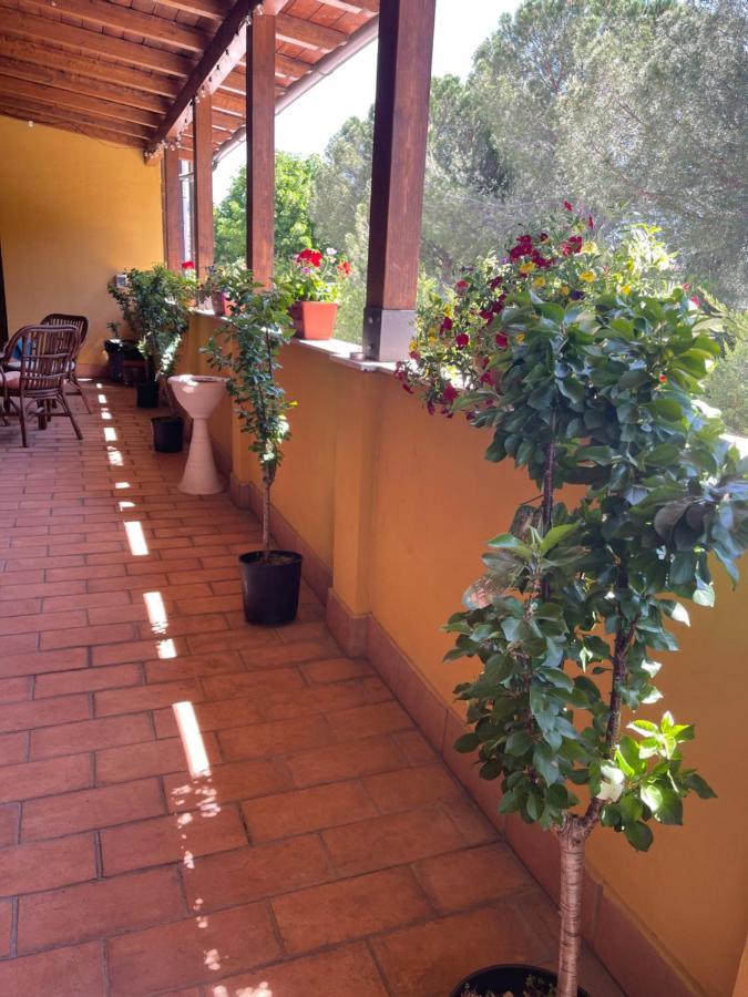 Hôtel La Terrazza Dei Ciliegi à Santa Maria Degli Angeli  Extérieur photo